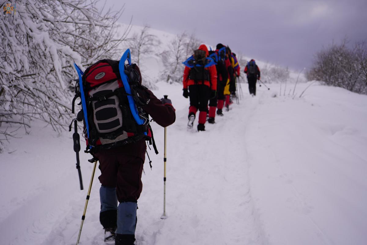 Пошуки зниклого туриста у горах Закарпаття