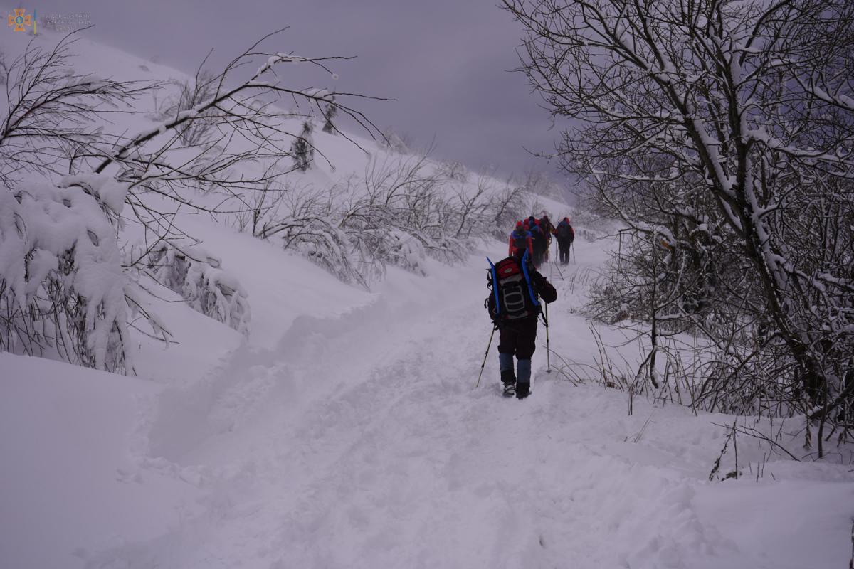 Пошуки зниклого туриста у горах Закарпаття