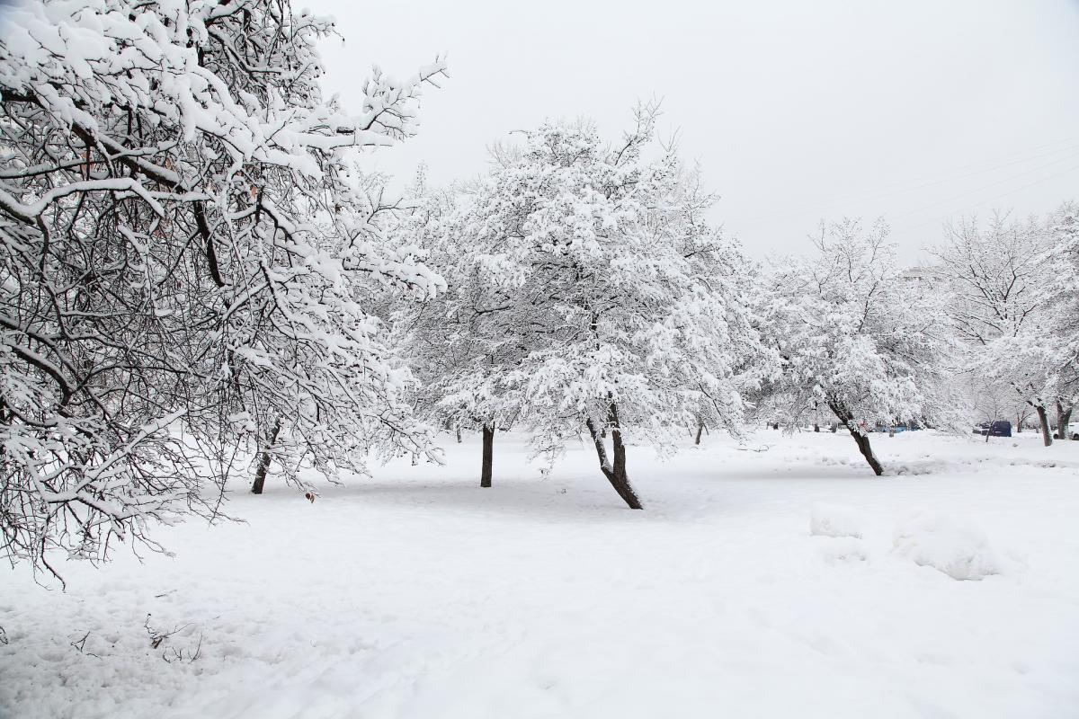 В Украине ударит мощный мороз и завалит снегом на День святого Николая