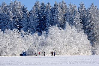 погода