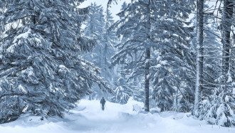 погода