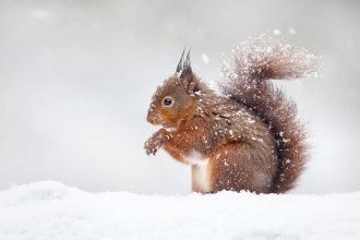 погода