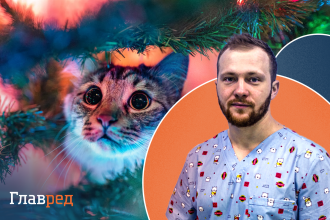 Ветеринарный врач Иван Панченко рассказал, почему не стоит дарить кошек и собак на Новый год и другие праздники