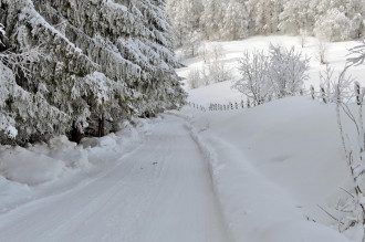 погода