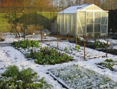 Секрети багатого врожаю: найважливіші і обов'язкові роботи для городника і садівника у грудні