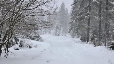 погода погода