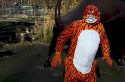 Директор Одеського зоопарку вбрався тигром і робив замах на жінок: дивне відео