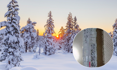 погода погода