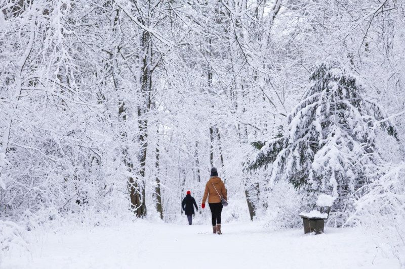 Хуртовини і морози -15: кліматолог назвала дату снігового шторму в Україні