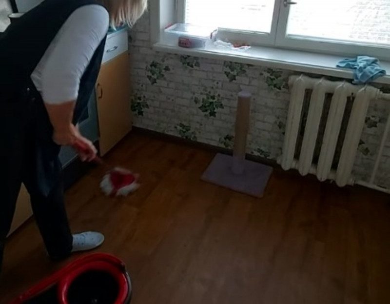Як вимити підлоги швидко і якісно: слушні поради і "рецепт" засобу