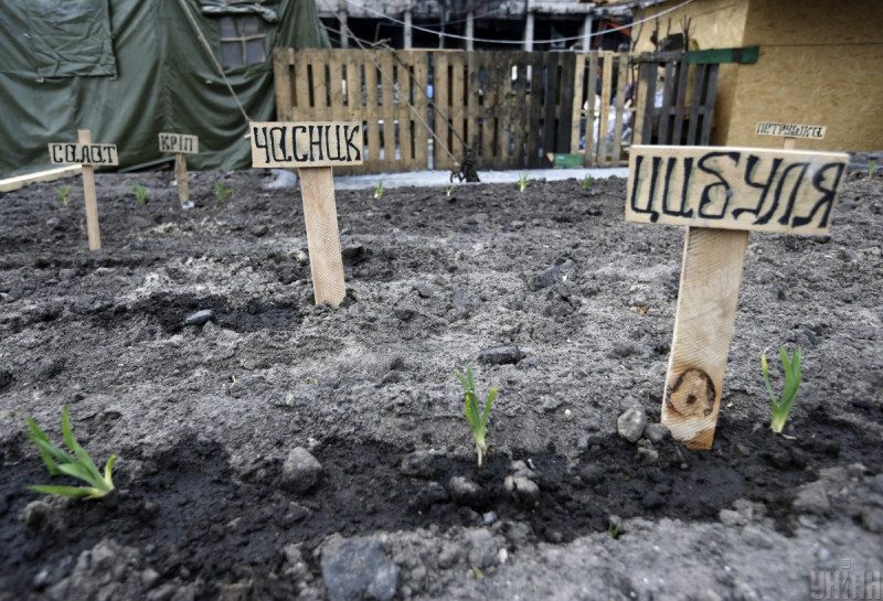 В Украине вводят "налог на огород": кому и когда придется раскошелиться