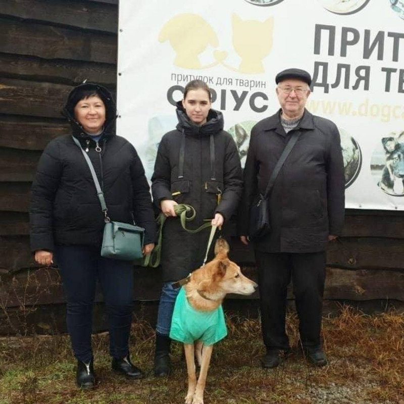 Собаку, которую бросили в парке с запиской, забрали в семью