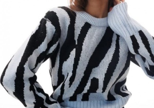 Принт зебра 2022 Принт зебра 2022