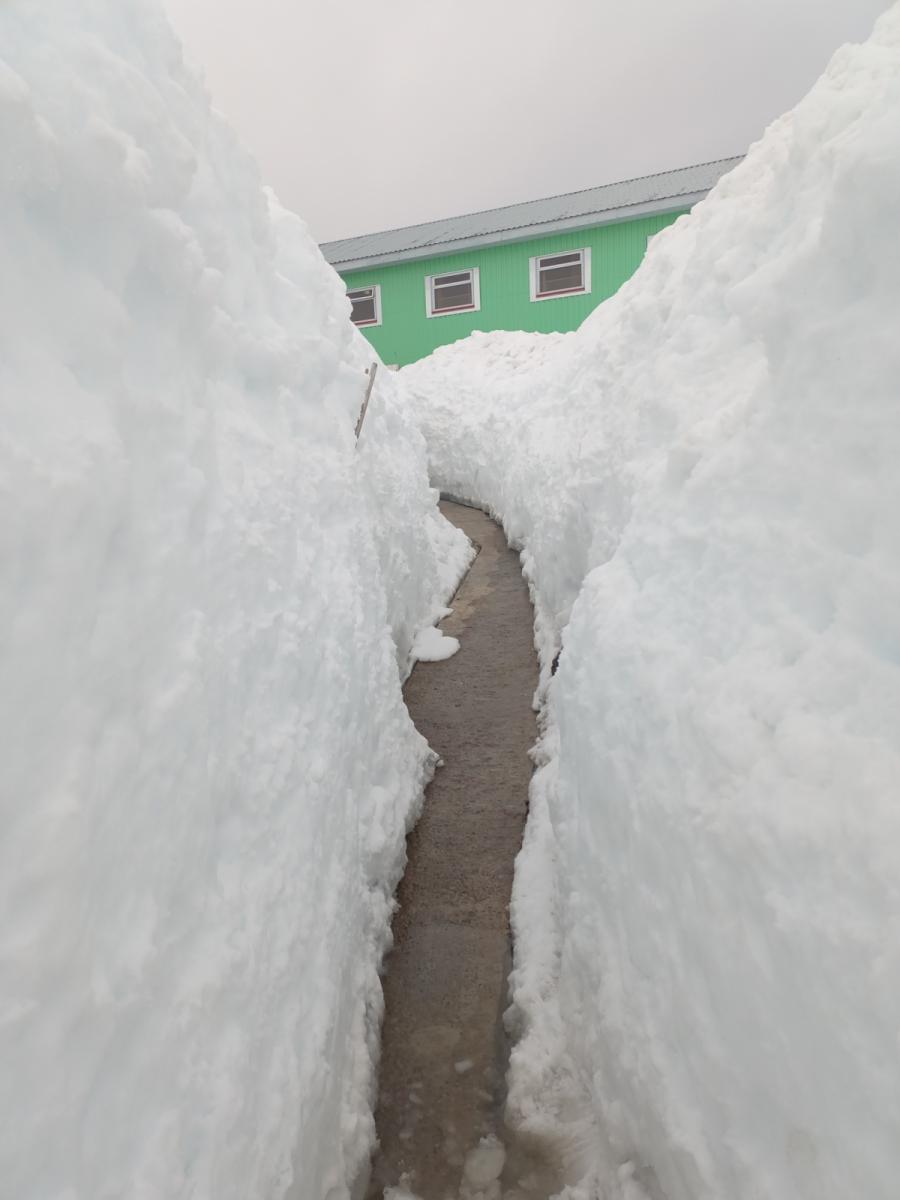 Станцию Академик Вернадский засыпало трехметровым слоем снега