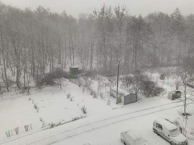 Львів засипав сильний снігопад і спіткав потужний вітер: атмосферні кадри Львів засипав сильний снігопад і спіткав потужний вітер: атмосферні кадри