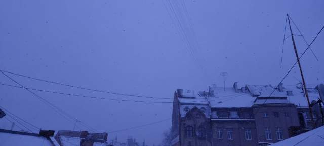 Снегопд во Львове