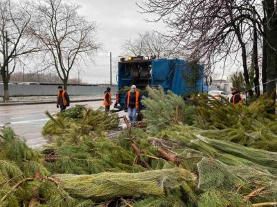 Перетворилися на сміття: в Одесі продавці викинули посеред вулиці сотні ялинок Перетворилися на сміття: в Одесі продавці викинули посеред вулиці сотні ялинок