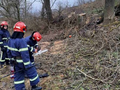 В Ровенской области мужчину насмерть привалило стволом, когда он срезал дерево