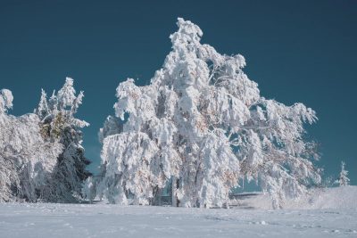 Врежет мороз - 16° и завалит снегом: Украину атакует северный колотун