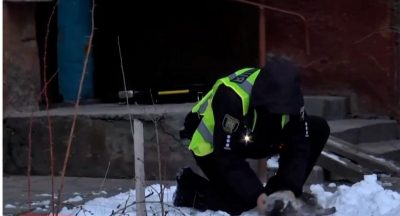 Пришлось массажировать сердечко: во Львове копы спасли угоревшую при пожаре кошку