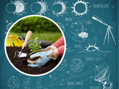 Посівний календар Лютий 2022 Посівний календар Лютий 2022