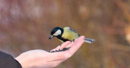 Привлечете удачу, богатство и везение: приметы на февраль, которые предвещают беду