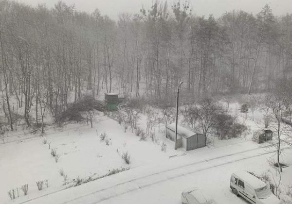 Львів засипав сильний снігопад і спіткав потужний вітер: атмосферні кадри