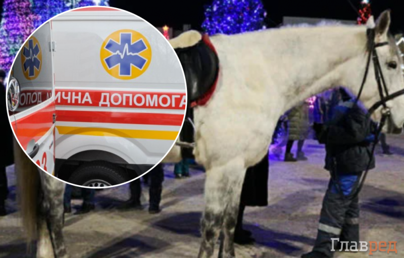 Катав дітей навколо ялинки: у Тернополі кінь вдарив копитом у живіт 5-річному хлопчику