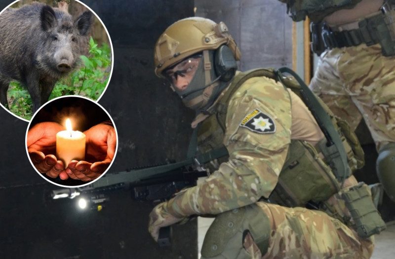Під Житомиром кабан вбив поліцейського під час полювання