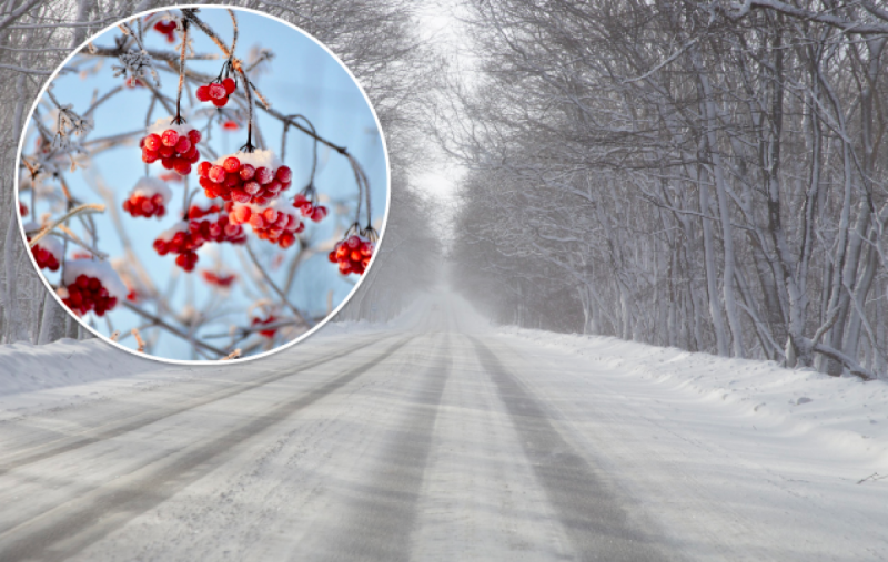 В Украине резко усилится мороз: синоптик назвала дату