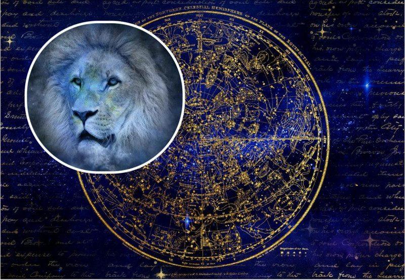 Гороскоп на февраль 2022 года для Львов: месяц принесет большой куш на работе и джекпот в любви