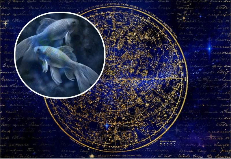 Гороскоп на серпень 2022 для Риб: поїздка за кордон, сварка і службовий роман