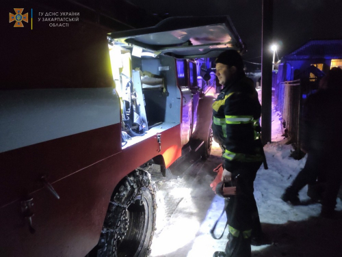 Рятувальники винесли цуценят з охопленого вогнем будинку