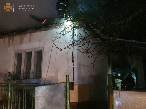 Рятувальники винесли цуценят з охопленого вогнем будинку