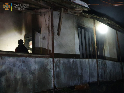 Рятувальники винесли цуценят з охопленого вогнем будинку