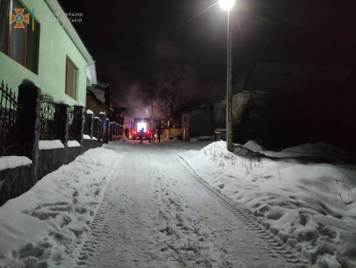 Рятувальники винесли цуценят з охопленого вогнем будинку