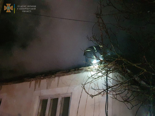 Рятувальники винесли цуценят з охопленого вогнем будинку