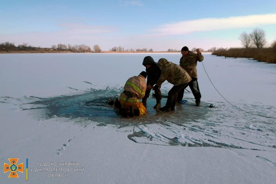 Девушка увидела собаку на крыше и решила снять ее на видео. Вот какой неожиданный итог ее ждал