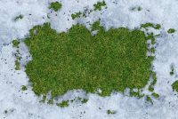 Зими не буде: експерт розповіла, чим загрожує Україні зміна клімату