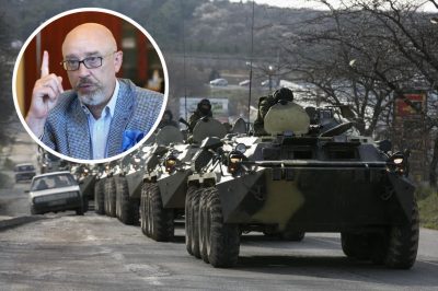 "Не створили ударного угрупування": Резніков пояснив, чому РФ не зможе зараз напасти