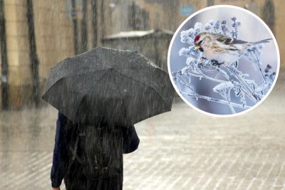 Морози, мокрий сніг і дощ: якою буде погода в Україні у найближчі дні