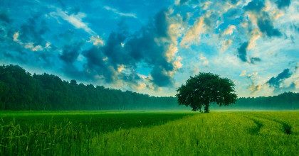 Мороз у березні та неймовірна спека у травні: весна в Україні буде непередбачуваною