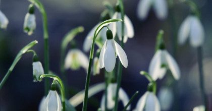 Погода в Украине: каким будет конец февраля