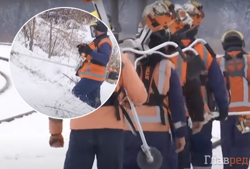 "Берегут мышей и ежиков": в Укрзализныци оправдались за кошение заснеженных ЖД путей