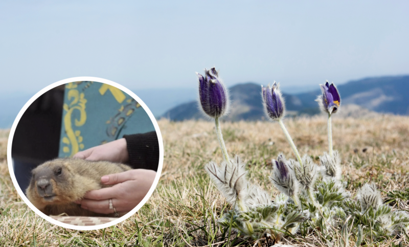 Березень може бути із сюрпризами: в Укргідрометцентрі уточнили прогноз погоди в Україні навесні 2022