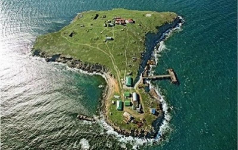 Контроль над островом Змеиный пока не возвращен