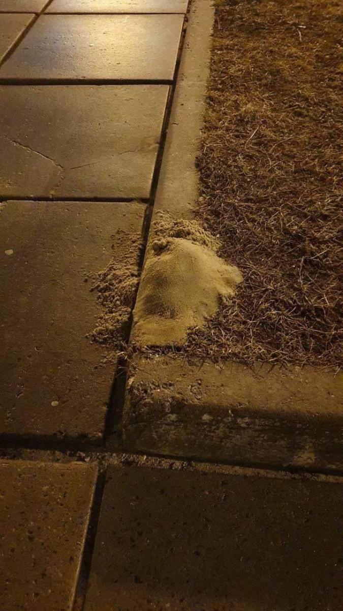 Мінні пастки на Троєщині в Києві