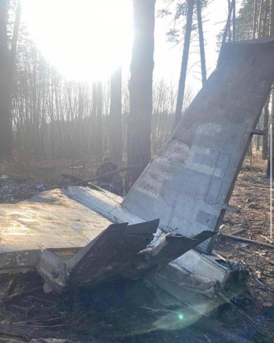 Врятував сотні життів: пілот ЗСУ відвів підбитий літак від населеного пункту