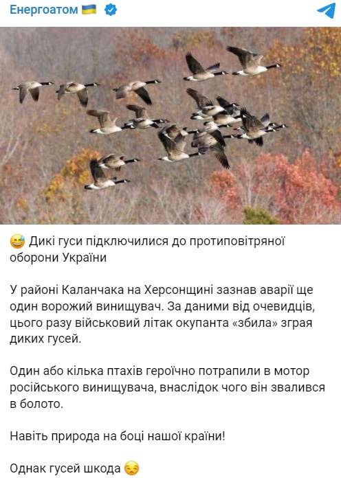 Літак РФ звалився в болото: на Херсонщині дикі гуси 'закрили небо' від окупантів