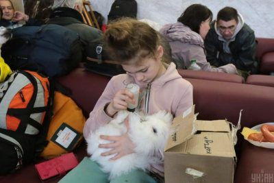 Укрзалізниця опублікувала актуальний графік руху пасажирських поїздів на 5 березня